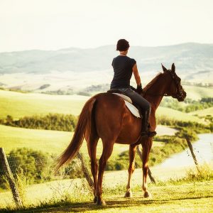 Passeggiate a cavallo in Toscana - Agriturismo Diacceroni