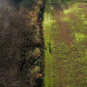 Caccia al tartufo in Toscana - Agriturismo Diacceroni