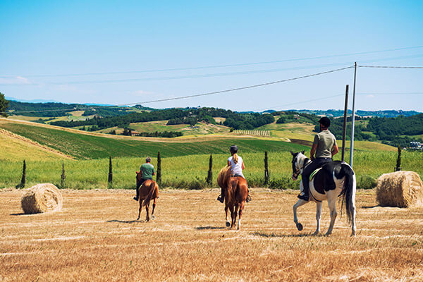 Passeggiate a cavallo Toscana - Diacceroni - Agriturismo in Toscana con maneggio