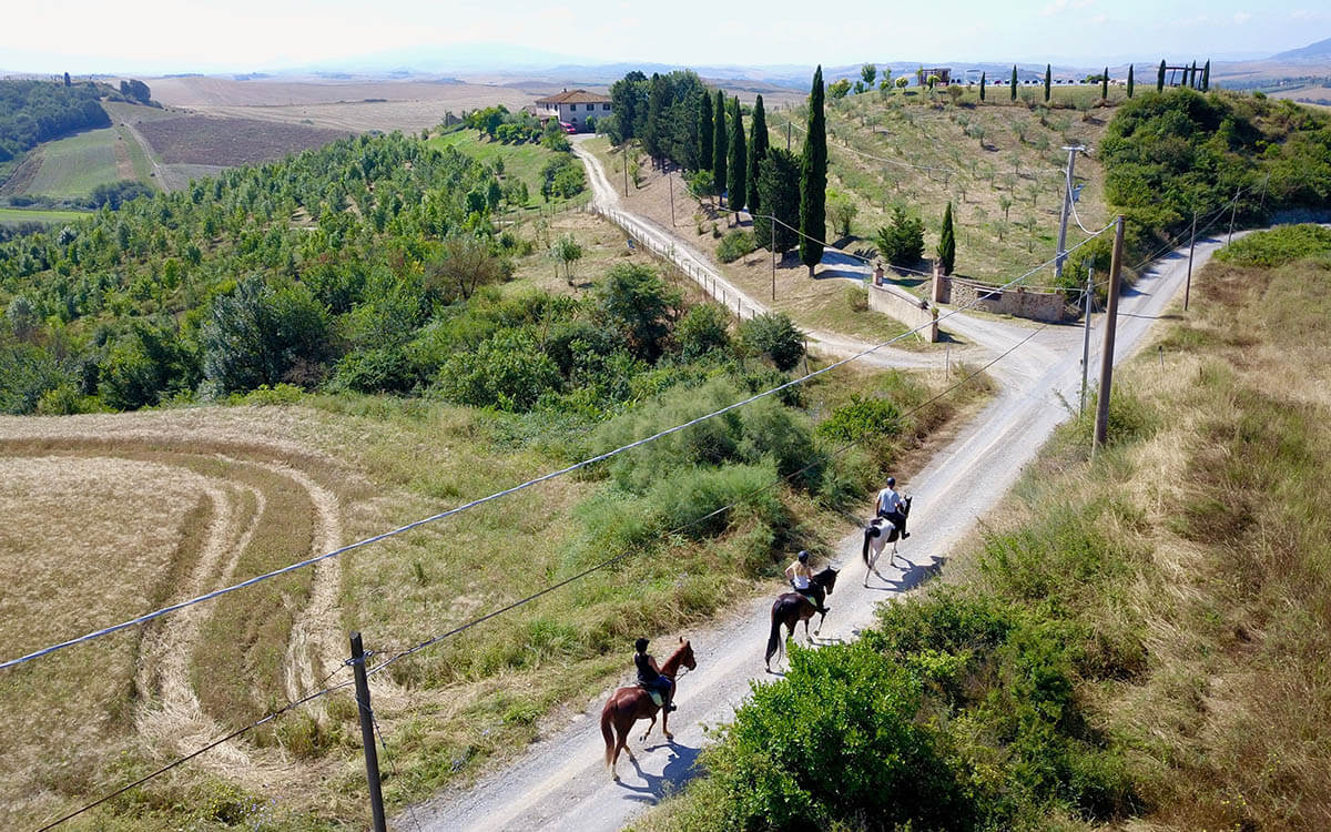 Passeggiate a cavallo Toscana - Diacceroni - Agriturismo in Toscana con maneggio
