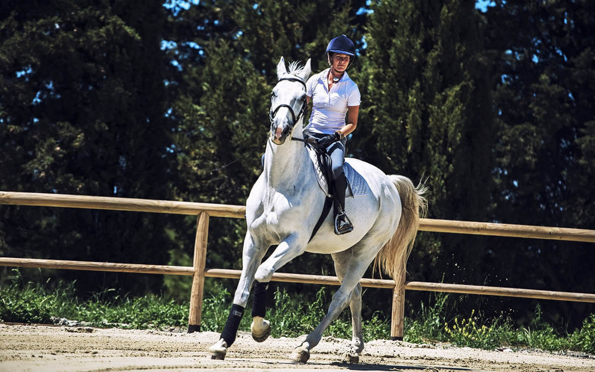 Paardrijden Toscane - Diacceroni - Agriturismo Toscane - Italië