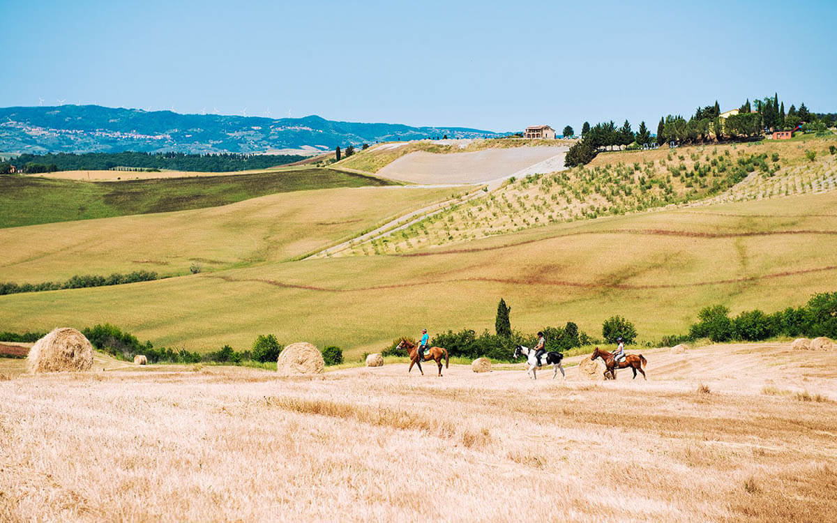 Attività in Toscana - Diacceroni - Agriturismo Toscana